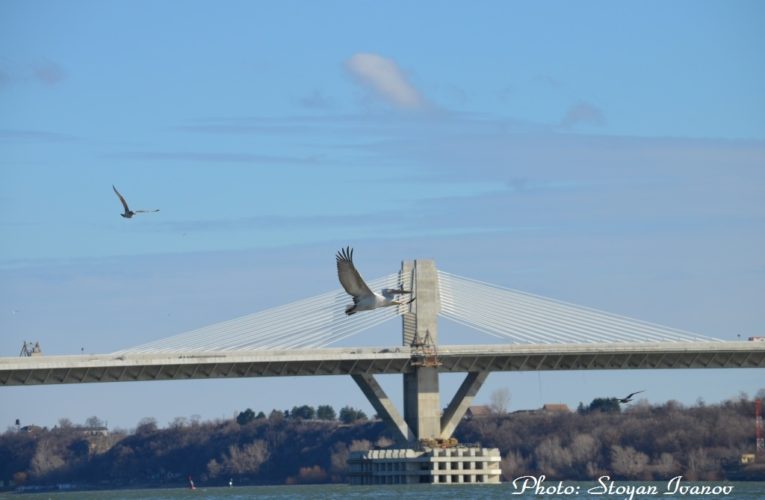 Ремонт на Дунав мост Видин-Калафат, въведено временно движение