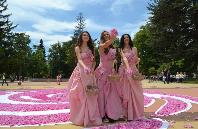72,000 roses in one for the holiday of Kazanlak