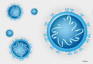 Нови дванайсет заразени с коронавирус  в област Видин
