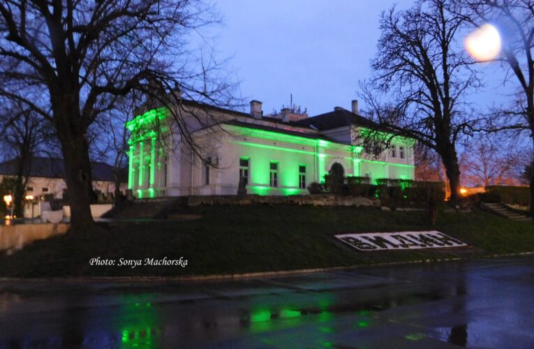 Защо светнаха в зелено културни паметници във Видин