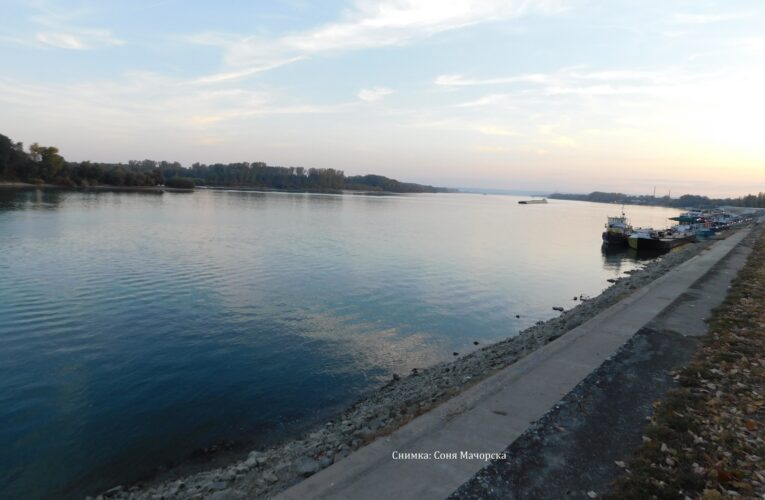 Синият Дунав и „цъфтежът на водата“