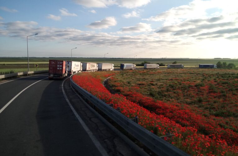 Кой насочва камионите към буферния паркинг преди Дунав мост Видин – Калафат