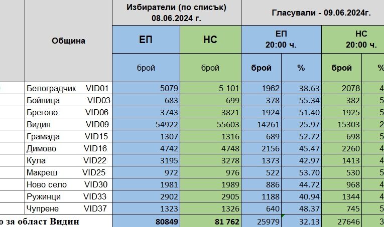 Изборната активност в област Видин към 20 часа