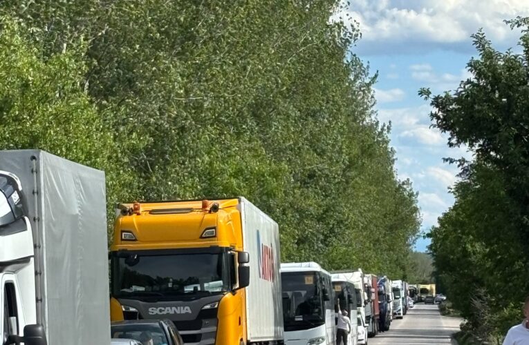 Протест във Видин срещу въвеждане на еврото
