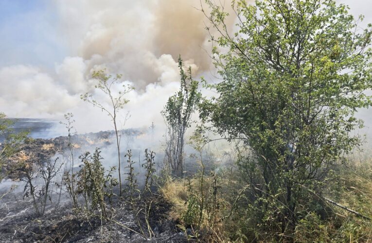 Пожарът до Черно поле