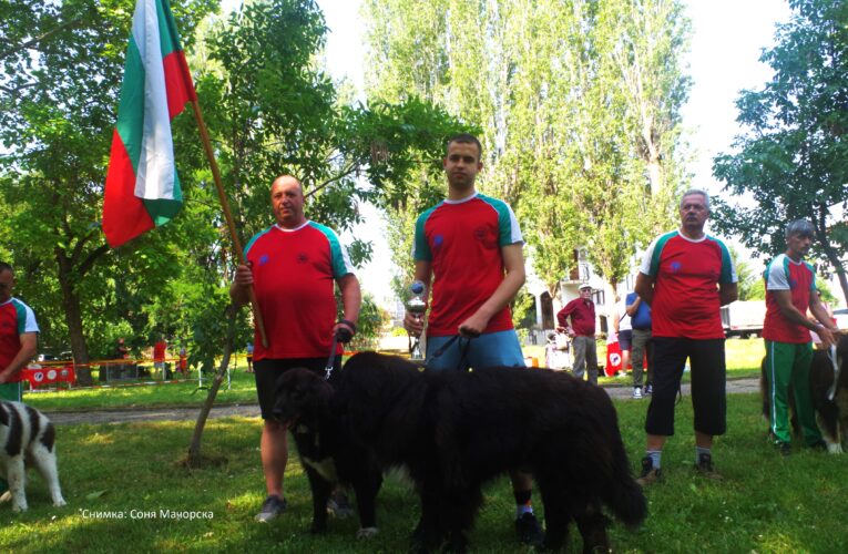 Поредна киноложка изложба във Видин