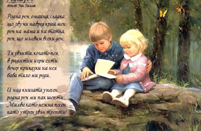Резултати от матурите по български в област Видин
