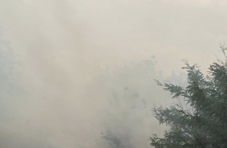 Отново пияни и дрогирани зад волана, пожари