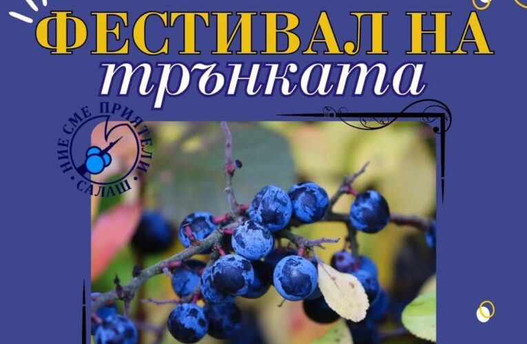 Фестивал на трънката в село Салаш