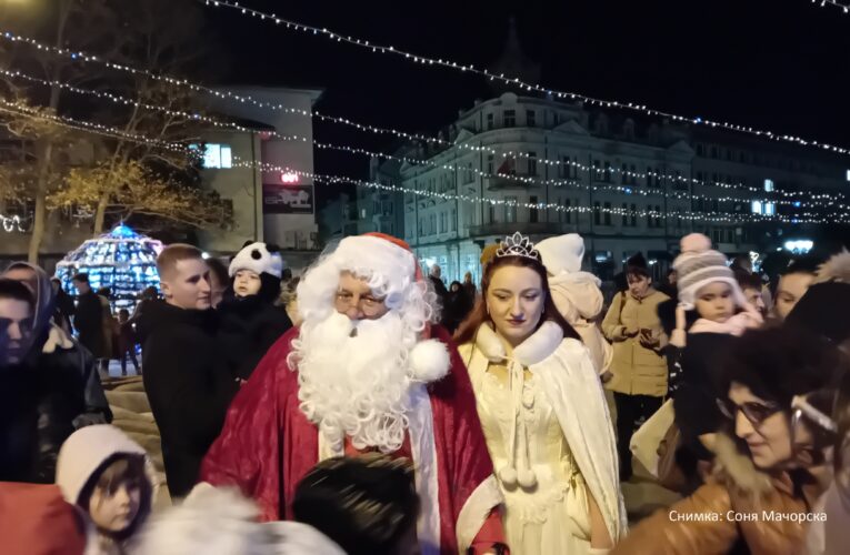 Грейна елхата във Видин