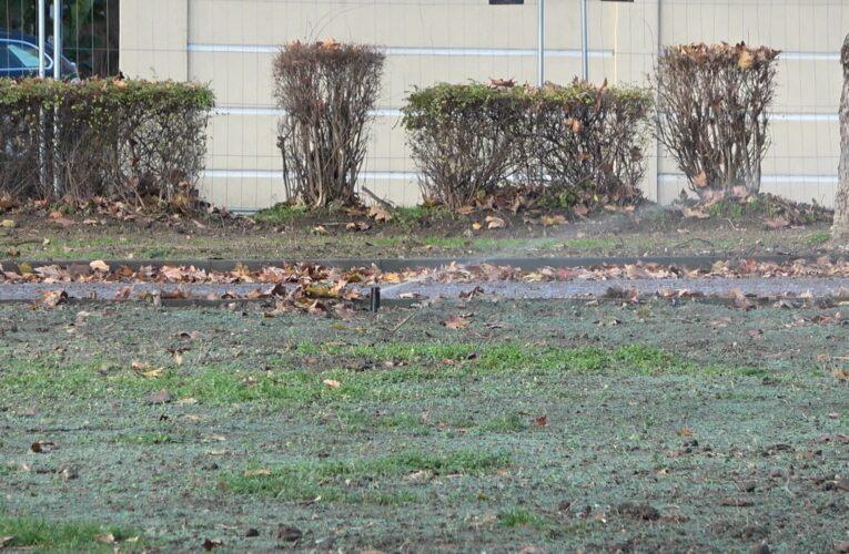 Изградена е поливната система в парка