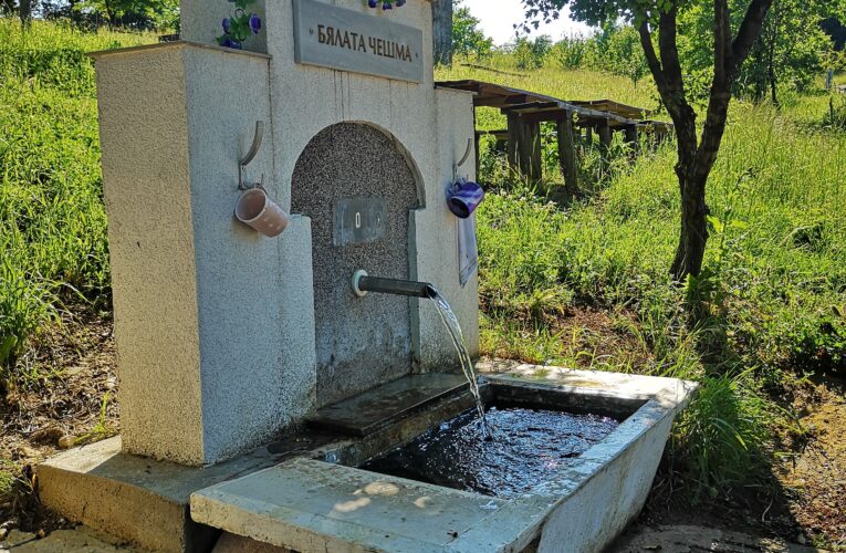 „Укротиха“ река Делейна