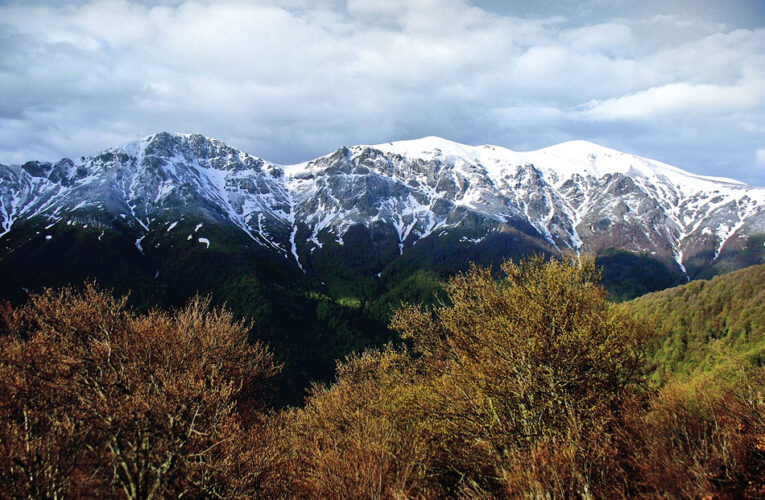 Нов директор на Северозападно държавно предприятие