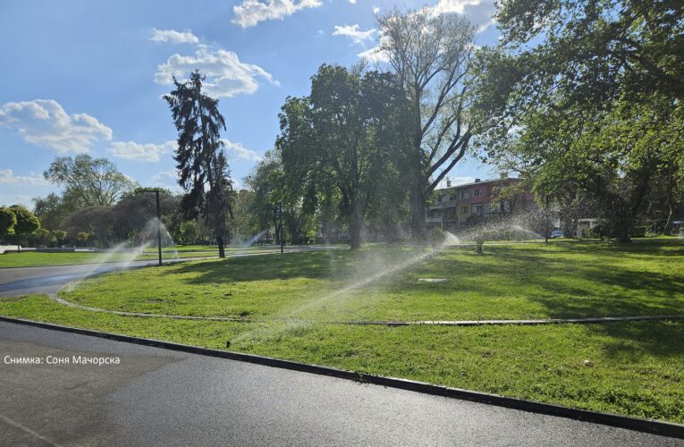 Поливна система и млади дръвчета в Градската градина във Видин