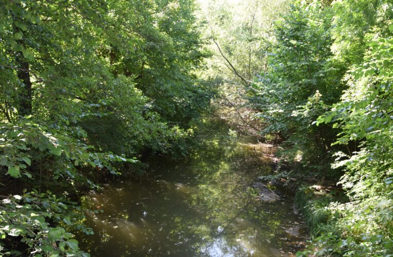 Проверка на дунавските диги в област Видин