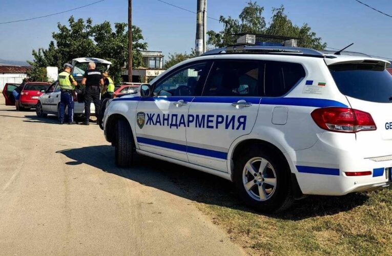 Задържани от Белоградчик и Брегово, кражби в Скомля и Ружинци