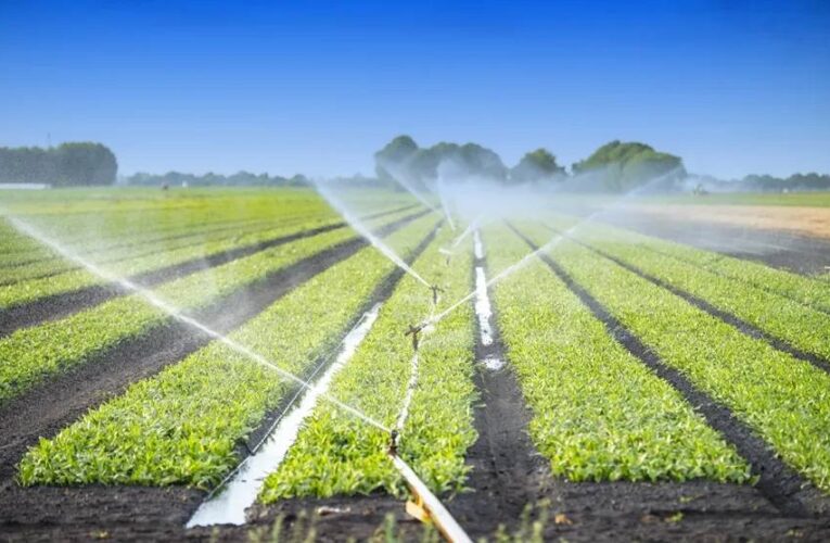 Правителството прие промени в Закона за водите