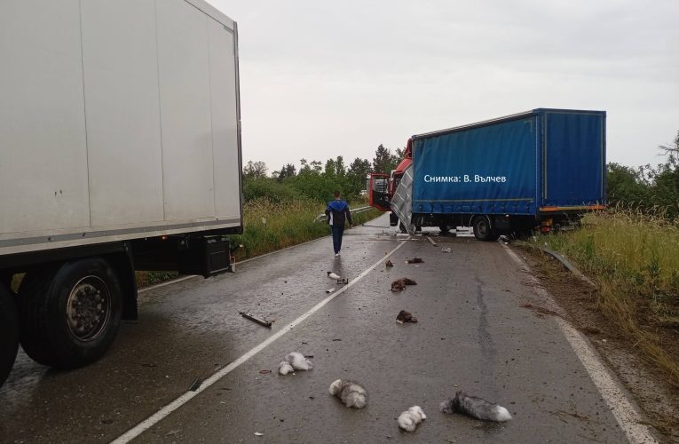 Катастрофа с много разпилени пухкави опашки