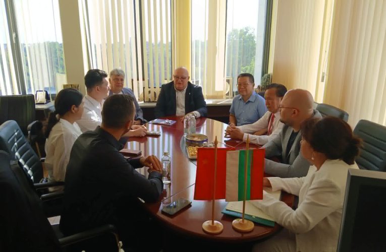 Китайска делегация посети Видин