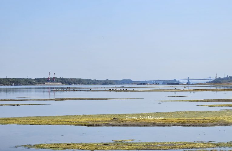 Корабоплаването в българския участък на Дунав към 17 август 2026 година