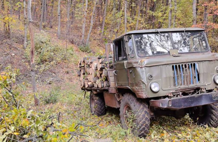 Незаконно сечище край с. Извор махала, задържани четирима